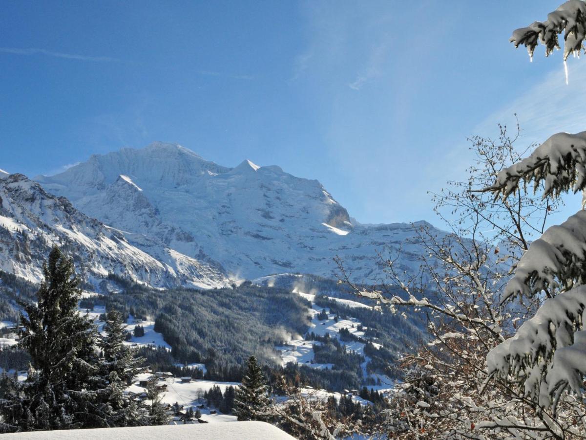 Apartment Helene Apt-Diana By Interhome Wengen Esterno foto