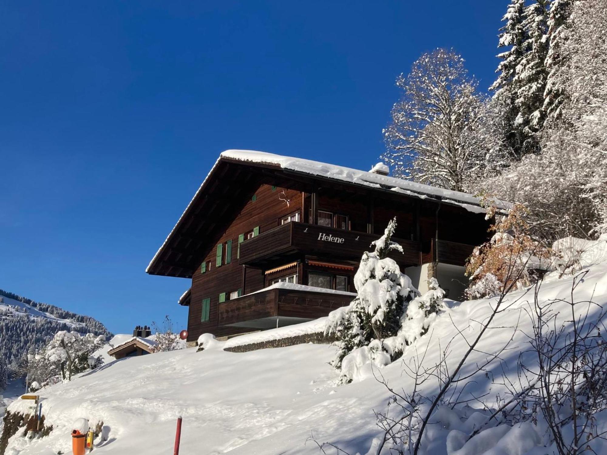 Apartment Helene Apt-Diana By Interhome Wengen Esterno foto